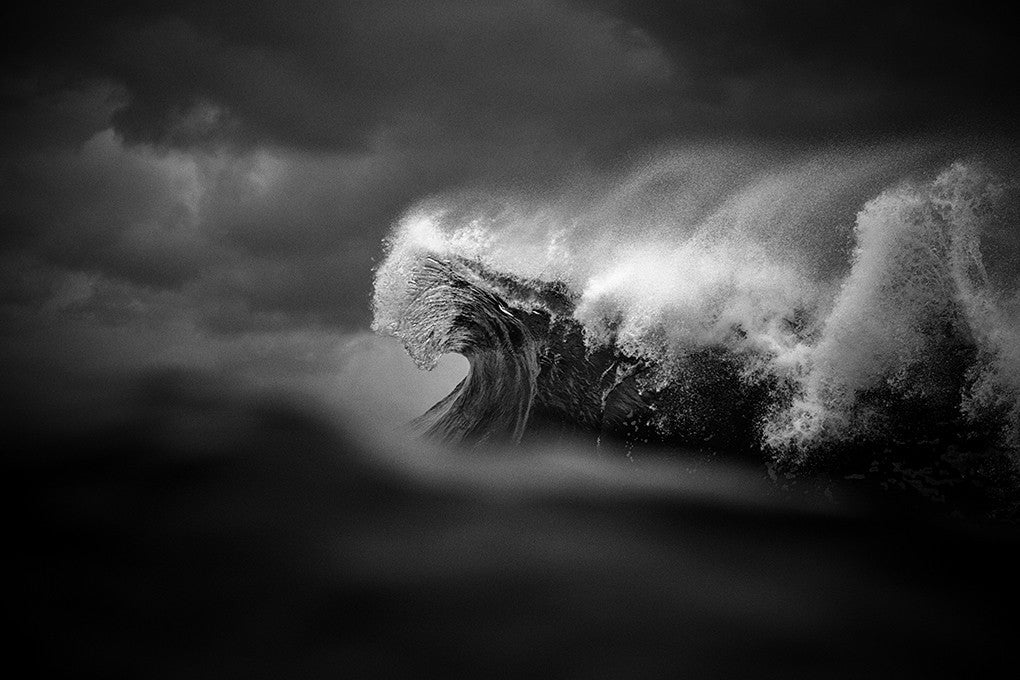 Fury