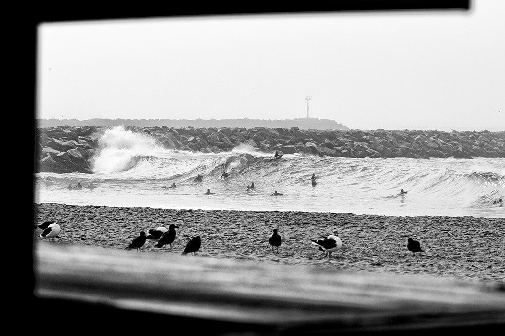 The Wedge - Newport