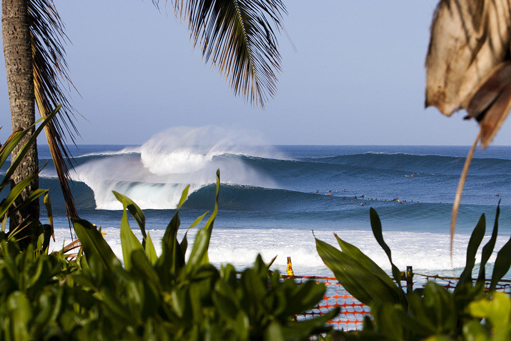 Pipeline Lineup