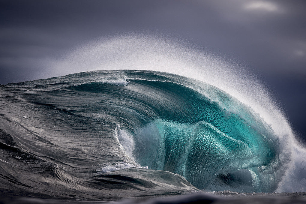 Sea Monster