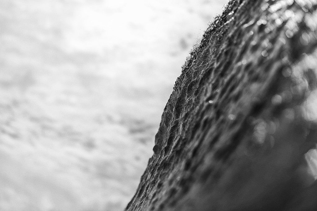 Spine
